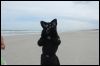 [Kovudalion 201204 Jacksonville Beach 111]