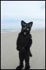 [Kovudalion 201204 Jacksonville Beach 112]