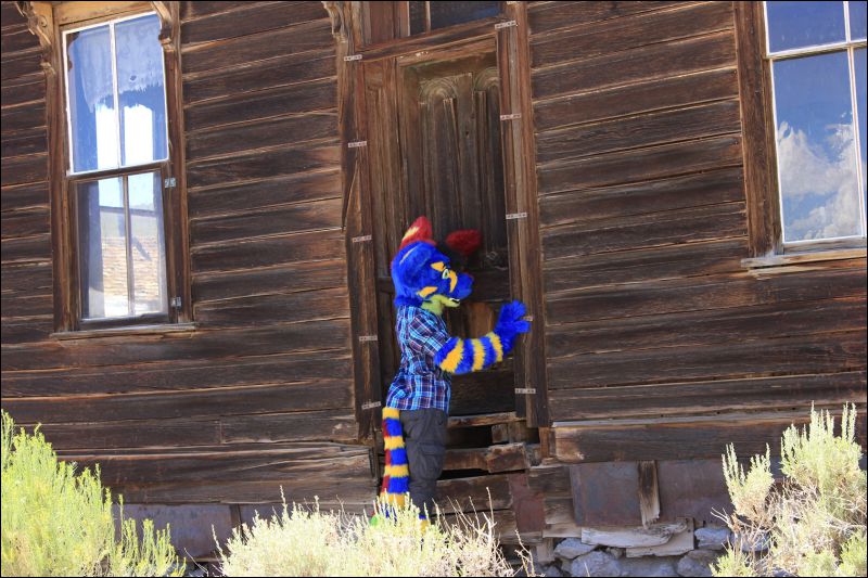 [2013_ArtreeKonu_Ghosttown_Bodie_17.jpg]