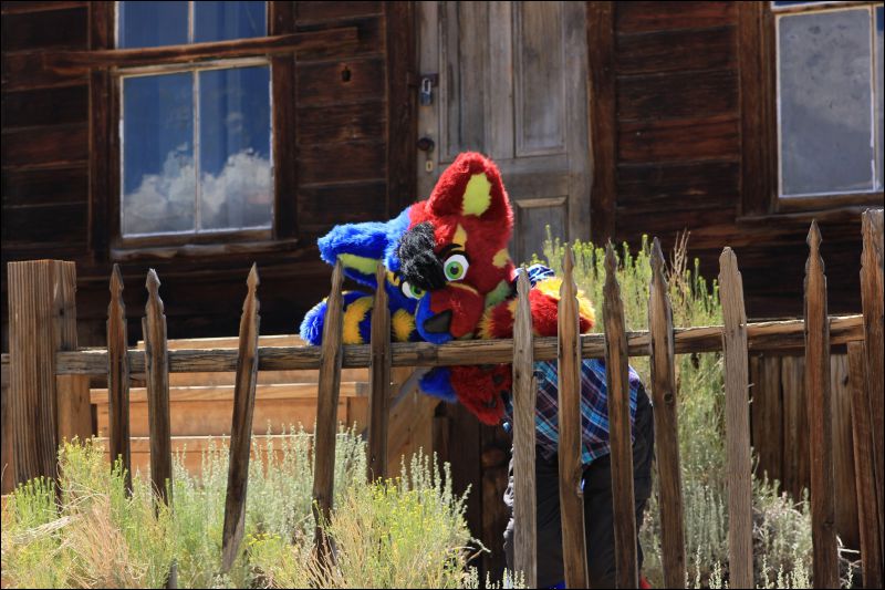 [2013_ArtreeKonu_Ghosttown_Bodie_20.jpg]