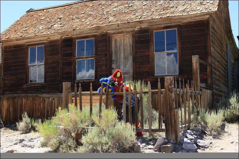 [2013_ArtreeKonu_Ghosttown_Bodie_21.jpg]