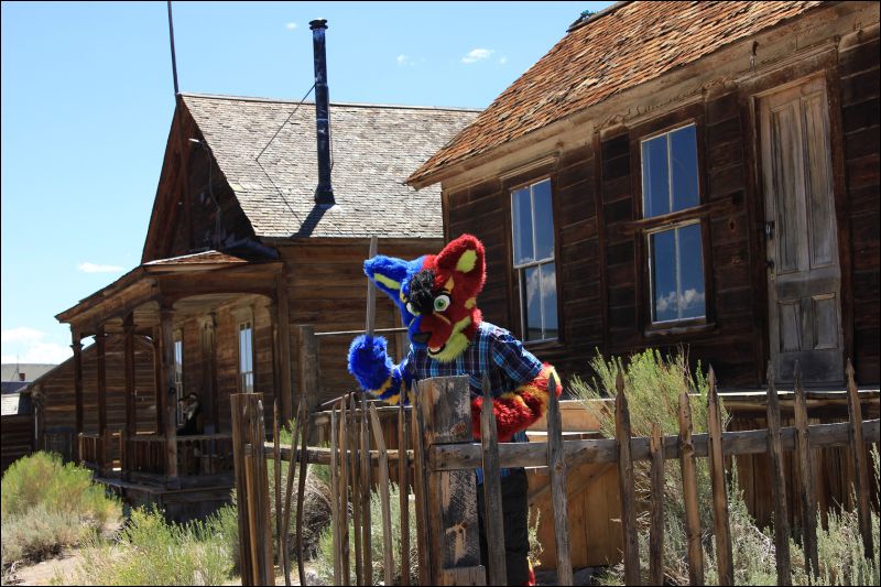 [2013_ArtreeKonu_Ghosttown_Bodie_22.jpg]