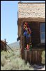 [2013 ArtreeKonu Ghosttown Bodie 27]