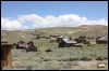 [2013 ArtreeKonu Ghosttown Bodie 29]