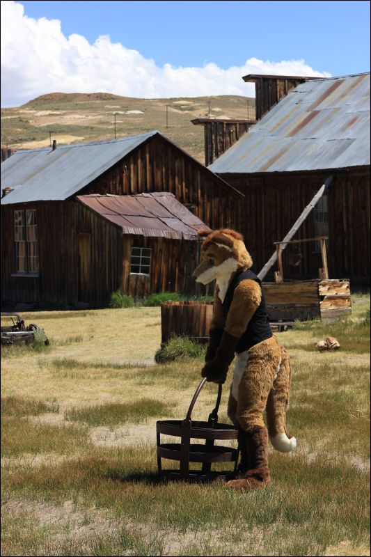 [2013_ArtreeKonu_Ghosttown_Bodie_41.jpg]