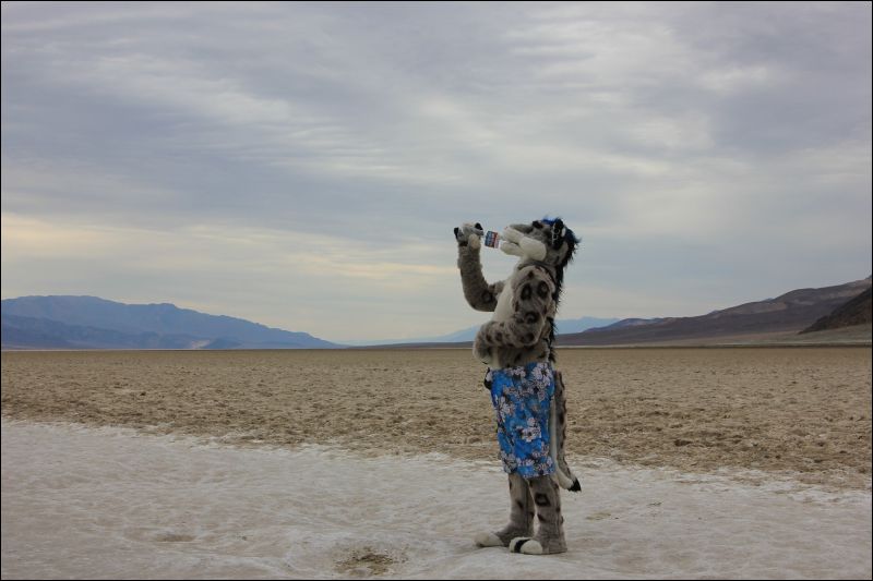 [2013_NuathuJake_DeathValley_09.jpg]