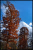 [20121021 TOSManor 1917 e]
