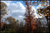 [20121021 TOSManor 1918 e]