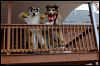 [20121021 TOSManor 1923 e]