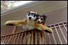[20121021 TOSManor 1930 e]