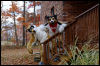 [20121021 TOSManor 1932 e]