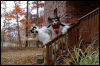 [20121021 TOSManor 1933 e]