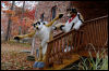 [20121021 TOSManor 1934 e]