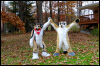 [20121021 TOSManor 1936 e]
