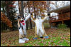 [20121021 TOSManor 1937 e]