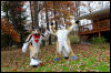 [20121021 TOSManor 1938 e]