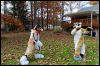 [20121021 TOSManor 1941 e]