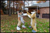 [20121021 TOSManor 1943 e]