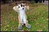 [20121021 TOSManor 1945 e]