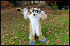 [20121021 TOSManor 1946 e]