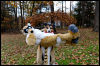 [20121021 TOSManor 1951 e]