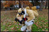 [20121021 TOSManor 1959 e]