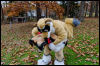 [20121021 TOSManor 1960 e]