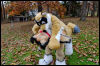 [20121021 TOSManor 1961 e]