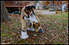 [20121021 TOSManor 1963 e]