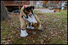 [20121021 TOSManor 1966 e]