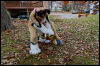 [20121021 TOSManor 1967 e]