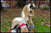 [20121021 TOSManor 1970 e]