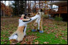 [20121021 TOSManor 1972 e]