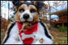 [20121021 TOSManor 1976 e]