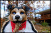 [20121021 TOSManor 1977 e]