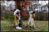 [20121021 TOSManor 1978 e]