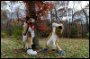 [20121021 TOSManor 1979 e]