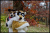 [20121021 TOSManor 1982 e]