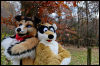 [20121021 TOSManor 1985 e]