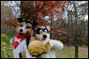 [20121021 TOSManor 1986 e]