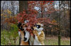 [20121021 TOSManor 1988 e]