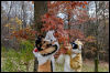 [20121021 TOSManor 1991 e]