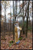 [20121021 TOSManor 1995 e]