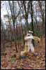 [20121021 TOSManor 1998 e]