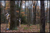 [20121021 TOSManor 1999 e]