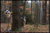 [20121021 TOSManor 2000 e]