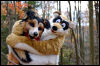 [20121021 TOSManor 2005 e]