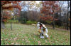 [20121021 TOSManor 2008 e]