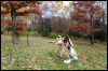 [20121021 TOSManor 2009 e]