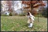 [20121021 TOSManor 2012 e]